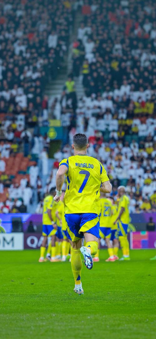 赛季0出场，米体：国米中卫帕拉西奥斯再次受伤，将缺阵几周（赛季尚未出场，米体：国米中卫帕拉西奥斯再度受伤，预计休战数周）