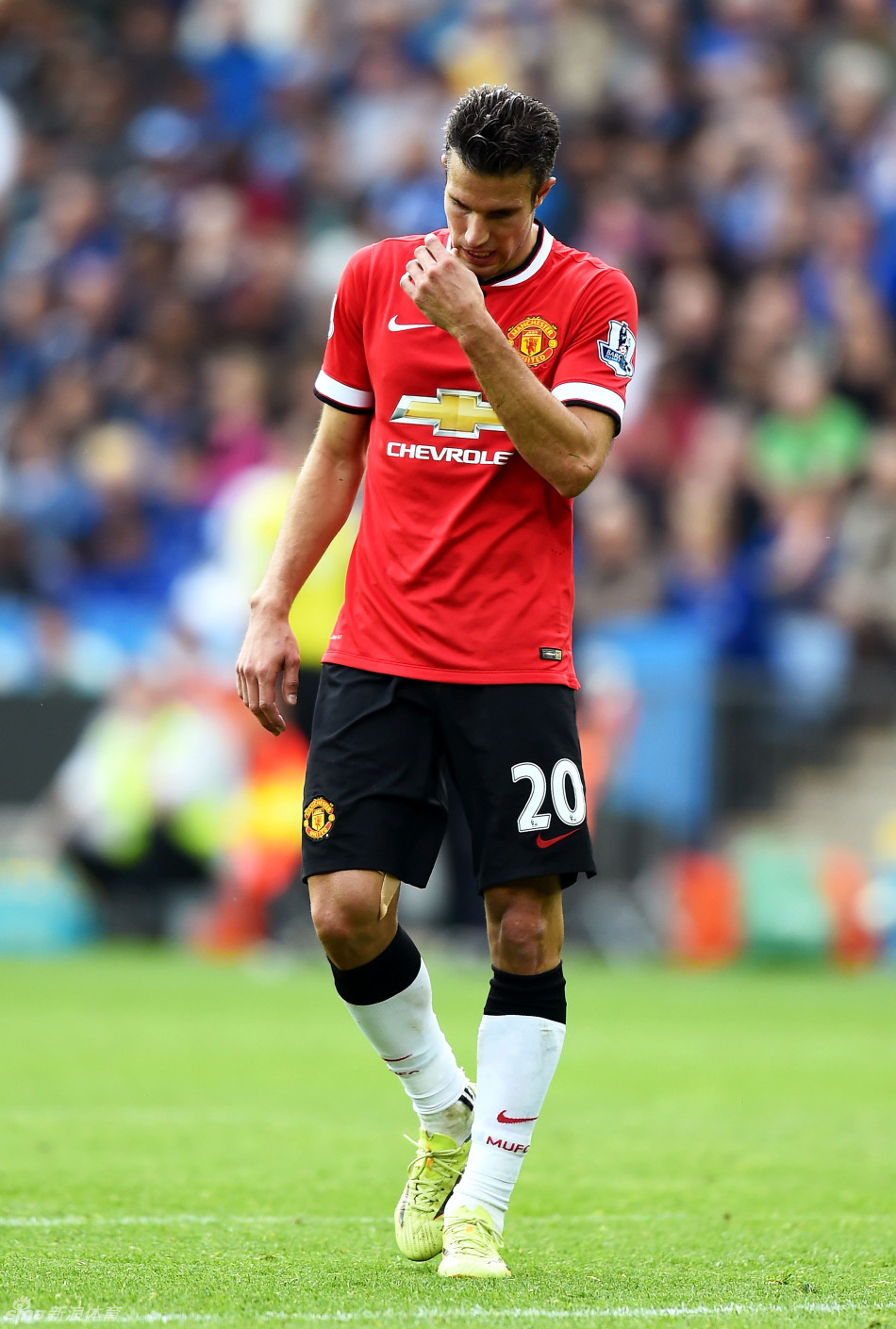 非洲雄狮无缘世界杯，曼联暗中得利（非洲雄狮止步世界杯，曼联成隐形赢家）